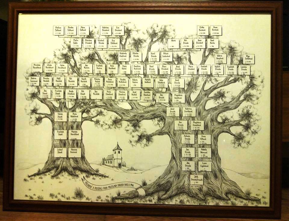 15192791 630888890405859 8398655075622187792 n